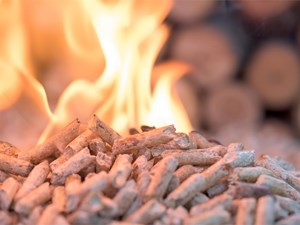 Descubre las ventajas de la biomasa como fuente de energía renovable en tu hogar